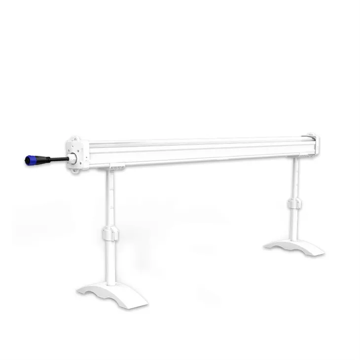 Dưới ánh sáng tán 120W|Lấp đầy ánh sáng từ mặt đất